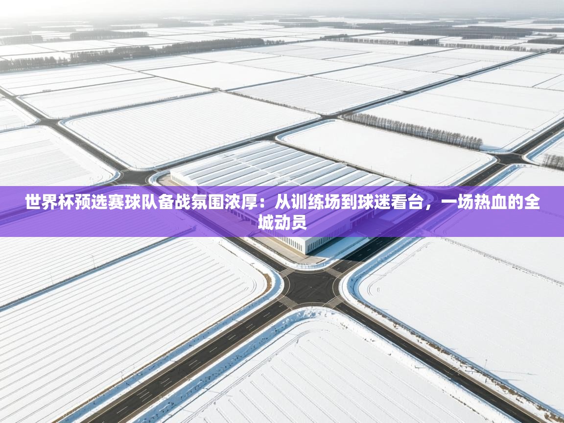 世界杯预选赛球队备战氛围浓厚:从训练场到球迷看台,一场热血的全城动员 第1张