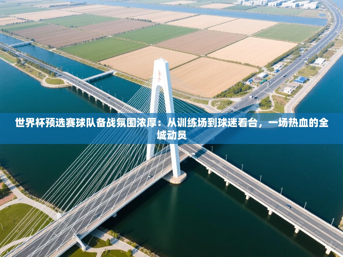 世界杯预选赛球队备战氛围浓厚:从训练场到球迷看台,一场热血的全城动员 第2张