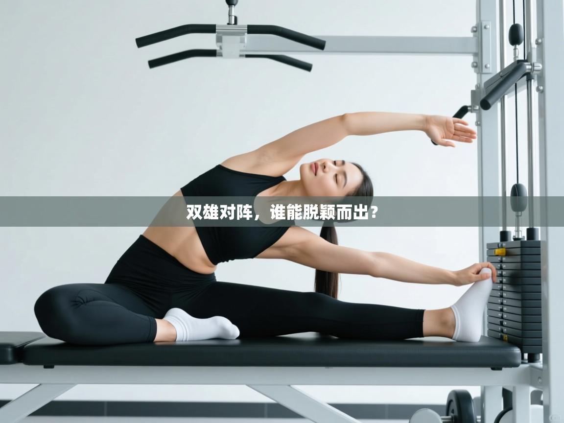 双雄对阵，谁能脱颖而出？  第1张