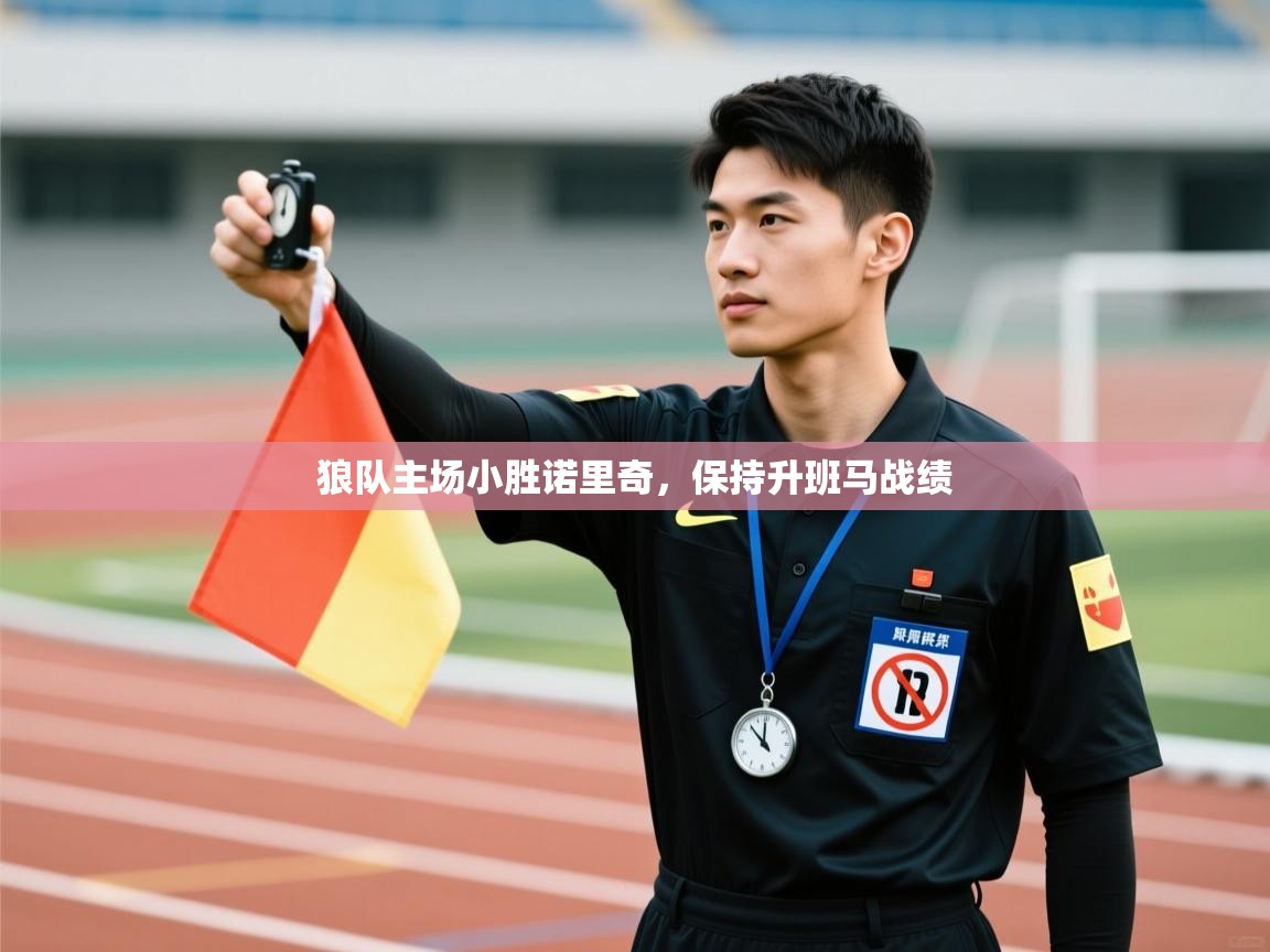 狼队主场小胜诺里奇，保持升班马战绩  第1张